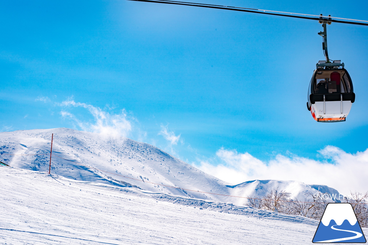 キロロリゾート｜久しぶりの『大当たり』！真冬のような景色とパウダースノーが帰ってきました(^^)v